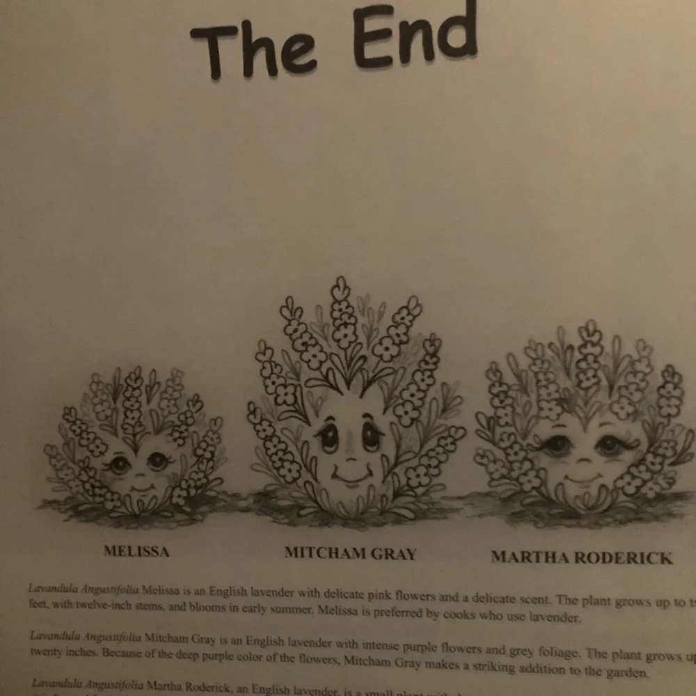 “The Laughing Lavender Field” A Picture-Coloring Book by Troye Jarmuth.